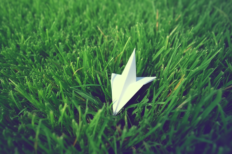 户外游玩的绿草地上的白色纸飞机,高清,摄影图,摄影图片,图片大全,摄影图免费下载